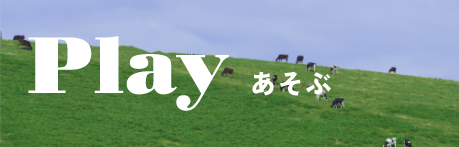 Play あそぶ